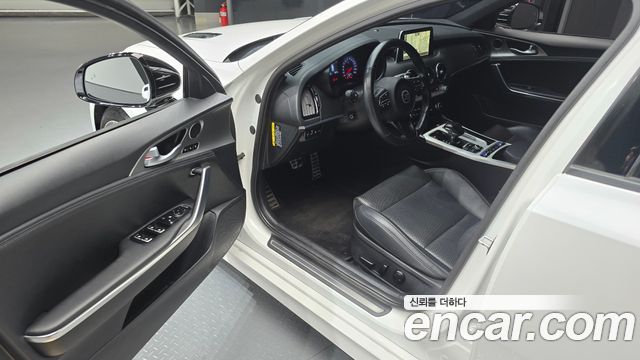 Kia Stinger 2.0 Turbo 2WD Platinum 2019 — фото 10