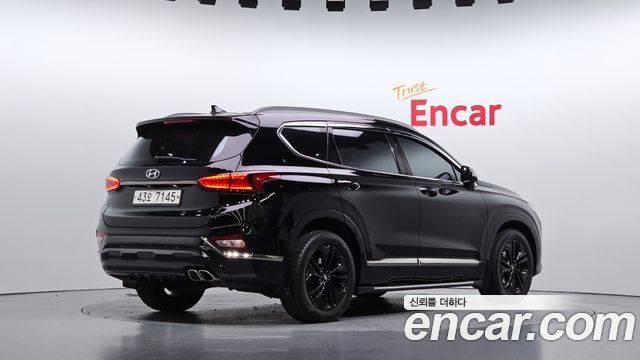 Hyundai Santa Fe (TM) Diesel 2.0 2WD Exclusive Special 2019 — фото 2
