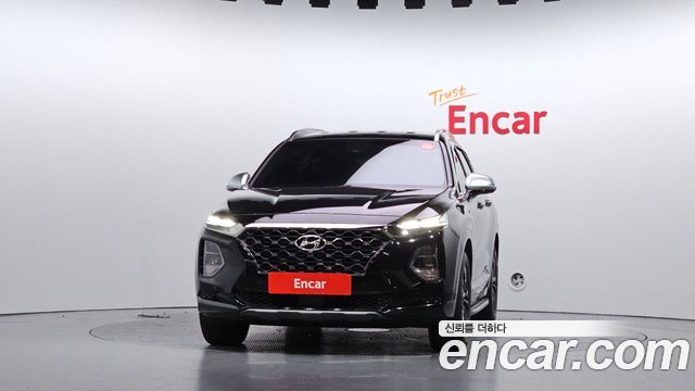 Hyundai Santa Fe (TM) Diesel 2.0 2WD Exclusive Special 2019 — фото 3