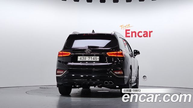 Hyundai Santa Fe (TM) Diesel 2.0 2WD Exclusive Special 2019 — фото 4