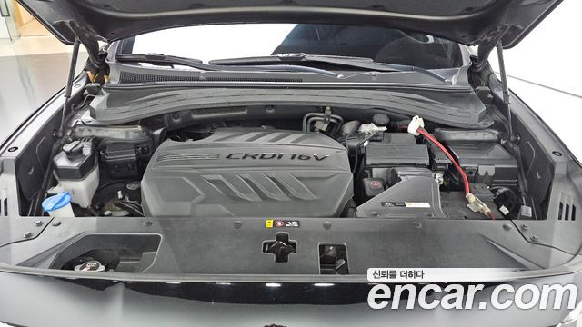 Hyundai Santa Fe (TM) Diesel 2.0 2WD Exclusive Special 2019 — фото 6