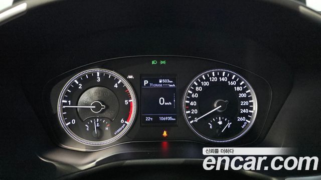 Hyundai Santa Fe (TM) Diesel 2.0 2WD Exclusive Special 2019 — фото 8