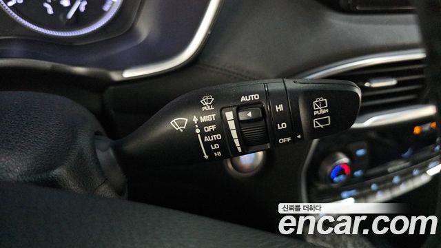 Hyundai Santa Fe (TM) Diesel 2.0 2WD Exclusive Special 2019 — фото 15