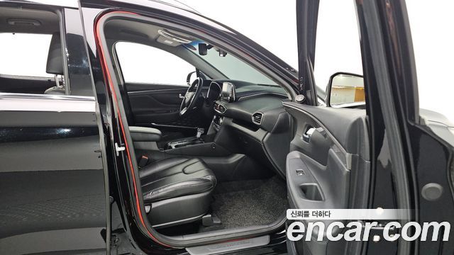 Hyundai Santa Fe (TM) Diesel 2.0 2WD Exclusive Special 2019 — фото 18