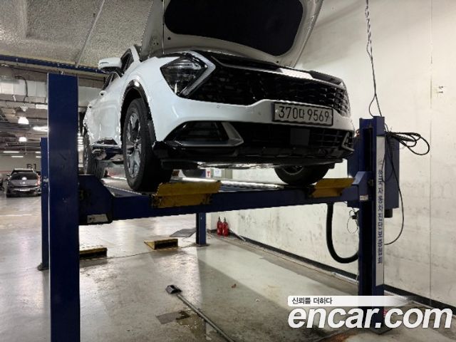 Kia Sportage (V) Diesel 2.0 2WD Nobleless 2024 — фото 1