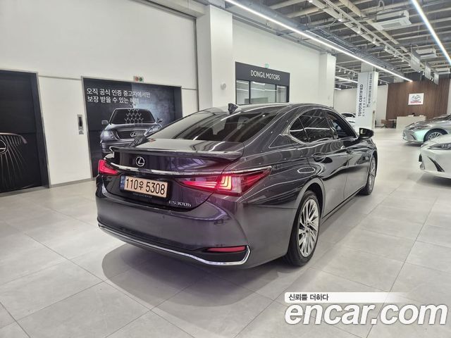 Lexus ES300h (VII) Executive 2023 — фото 2