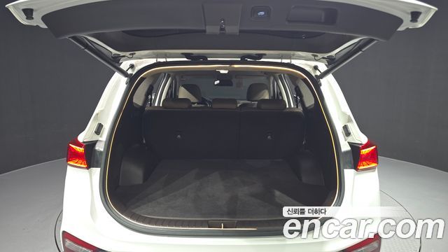Hyundai Santa Fe (TM) Diesel 2.2 2WD Prestige 2019 — фото 20
