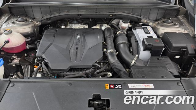 Kia Sorento (IV) Gasoline 2.5T 4WD Gravity 2024 — фото 6