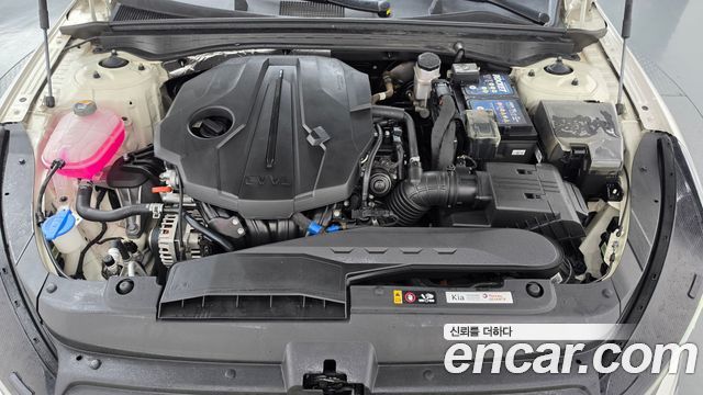 Kia K5 (III) 2.0 Noblesse 2022 — фото 6
