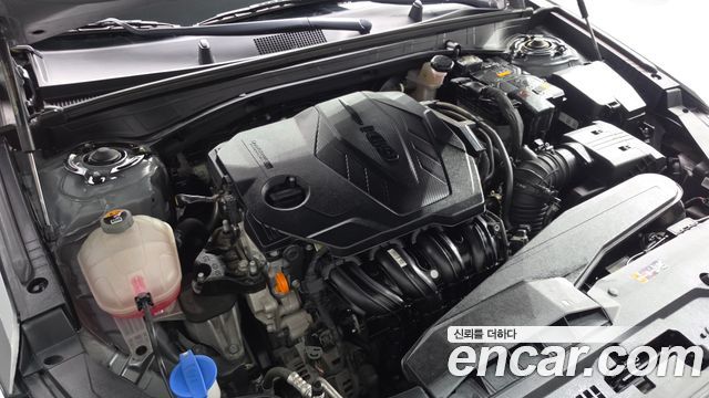 Kia K8 2.5 Gasoline 2WD Noblesse 2022 — фото 6