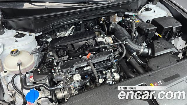 Hyundai Tucson (NX4) Gasoline 1.6 Turbo 2WD N Line Inspiration 2024 — фото 6