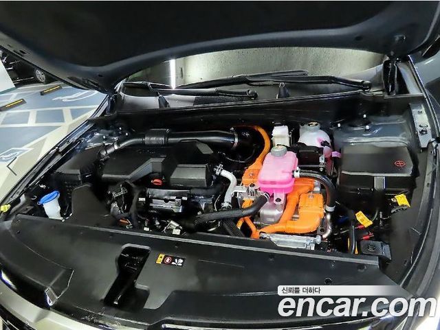 Kia Sportage Hybrid (V) HEV 1.6 2WD Noblesse 2025 — фото 23