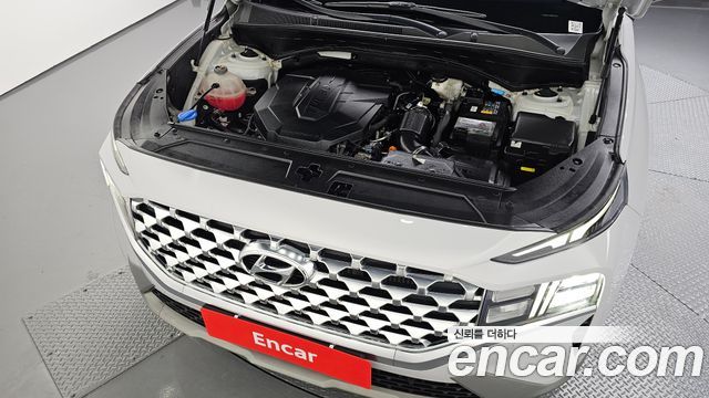 Hyundai Santa Fe Diesel 2.2 2WD Premium 2021 — фото 6