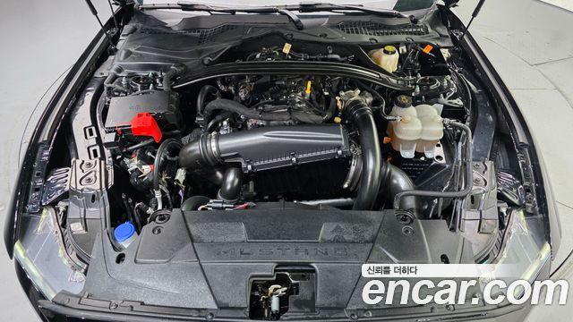 Ford Mustang (VII) 2.3 Ecoboost Premium Convertible 2025 — фото 6