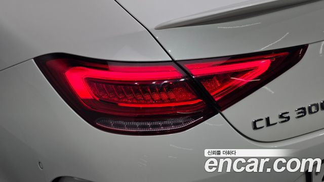 Mercedes-Benz CLS-Class (C257) CLS300d 4MATIC 2023 — фото 23