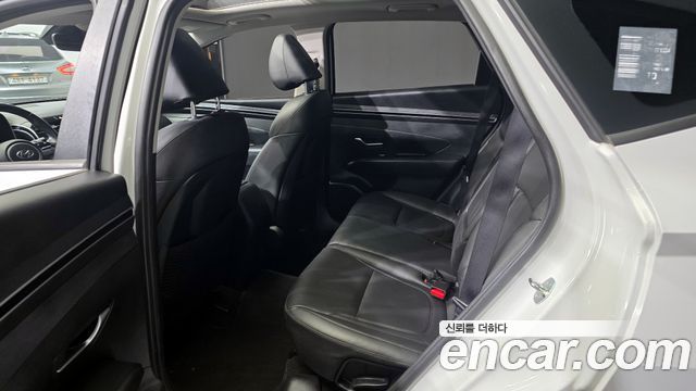 Hyundai Tucson (NX4) Diesel 2.0 2WD Modern 2023 — фото 11