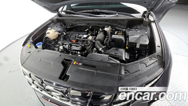 Hyundai Tucson (NX4) Gasoline 1.6 Turbo 4WD N Line Inspiration 2022 — фото 6