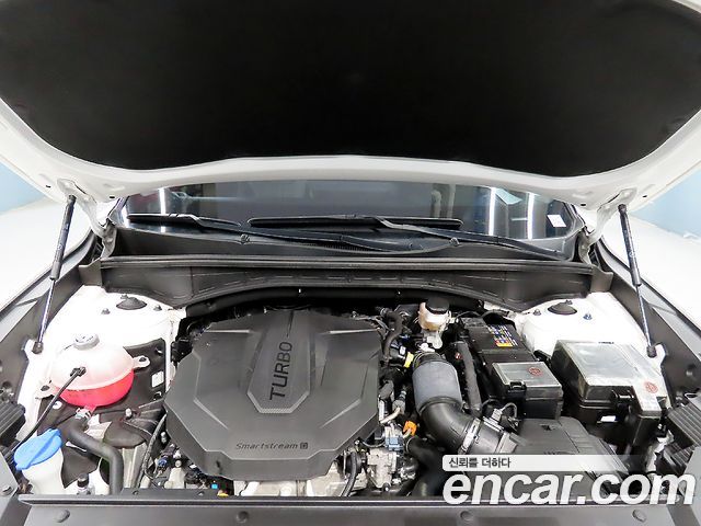 Kia Sorento (IV) Diesel 2.2 2WD Trendy 2022 — фото 23
