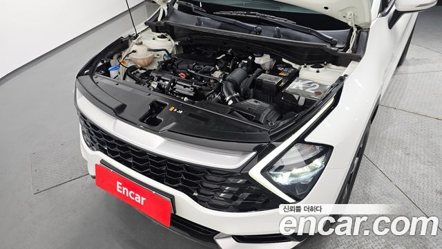 Kia Sportage (V) Gasoline 1.6 Turbo 2WD Trendy 2022 — фото 6