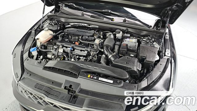 Kia K5 (III) 1.6 Turbo Noblesse 2022 — фото 6
