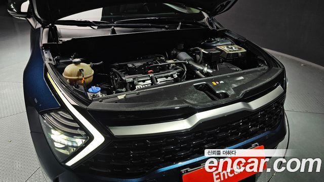Kia Sportage (V) Gasoline 1.6 Turbo 4WD Signature Gravity 2022 — фото 6