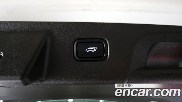Hyundai Palisade Gasoline 3.8 4WD Calligraphy 2022 — фото 19