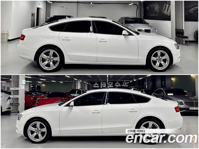 Audi A5 2.0 TDI Quattro Sportback 8TA 2013 — фото 4