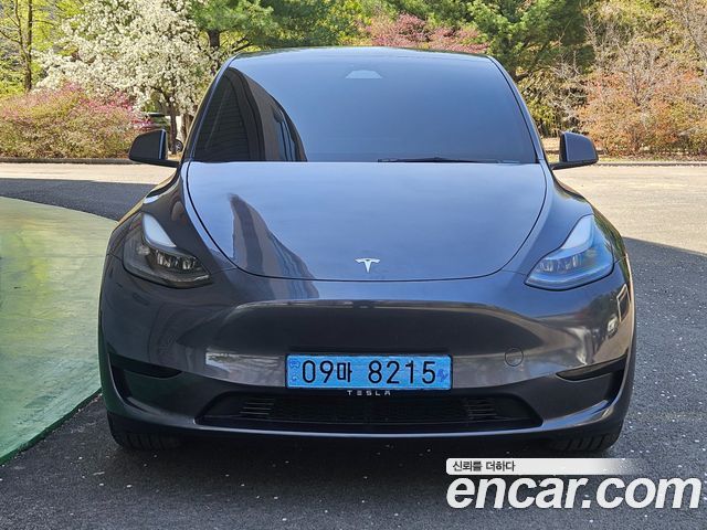 Tesla Model Y RWD