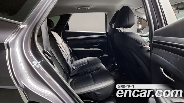 Hyundai Tucson (NX4) Diesel 2.0 2WD Modern 2023 — фото 11