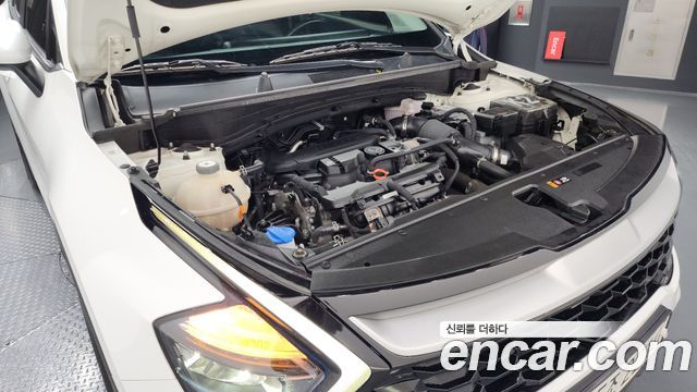 Kia Sportage (V) Gasoline 1.6 Turbo 2WD Trendy 2022 — фото 6
