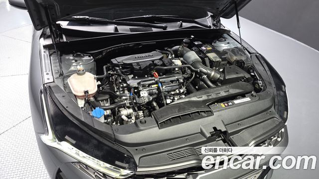 Kia K5 (III) 1.6 Turbo Noblesse 2023 — фото 6