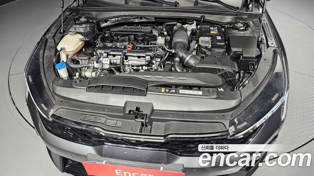 Kia K5 (III) 1.6 Turbo Noblesse 2024 — фото 6
