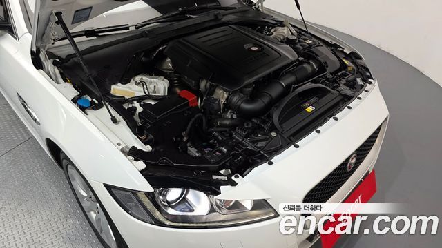 Jaguar XF (X260) 20d Prestige AWD 2017 — фото 6
