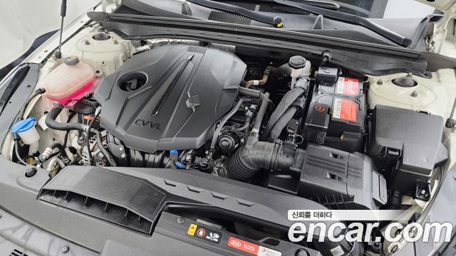 Kia K5 (III) 2.0 Noblesse 2021 — фото 6