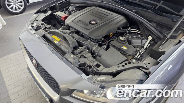 Jaguar F-PACE 20d R-Sport 2017 — фото 6