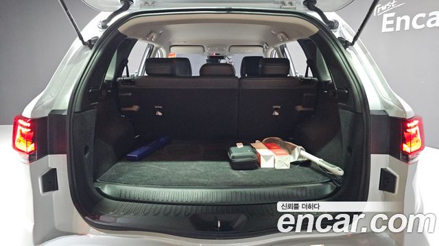 Renault Korea QM6 2.0 LPe RE Signature 2WD 2022 — фото 20