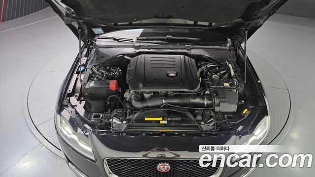 Jaguar XF (X260) 20d Portfolio AWD 2017 — фото 6