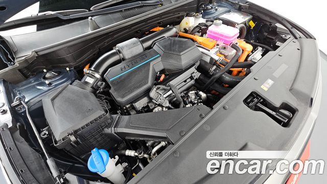 Kia Sportage Hybrid (V) Signature Gravity 2WD 2024 — фото 6
