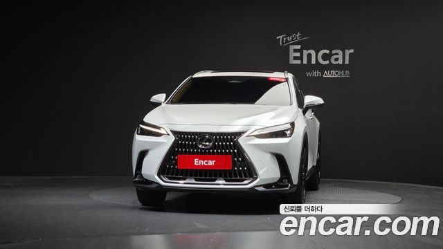 Lexus NX350h (II) Premium 2025 — фото 3