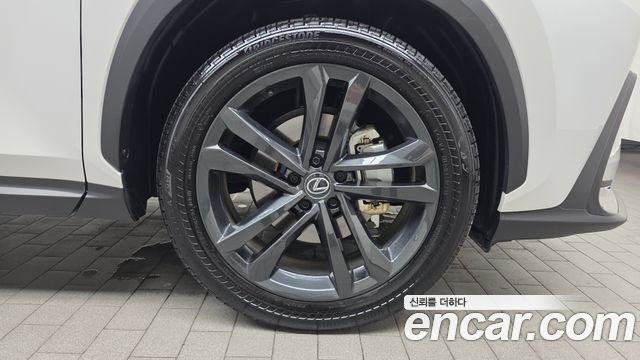 Lexus NX350h (II) Premium 2025 — фото 21