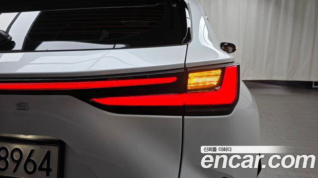 Lexus NX350h (II) Premium 2025 — фото 23