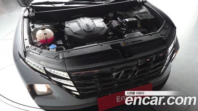 Hyundai Tucson (NX4) Diesel 2.0 2WD Premium 2023 — фото 6