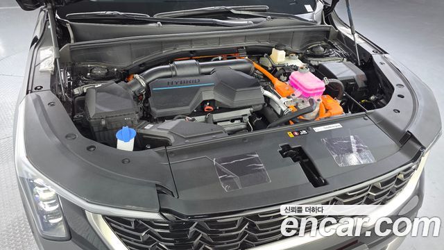 Kia Sorento (IV) HEV 1.6 2WD Noblesse 2025 — фото 6