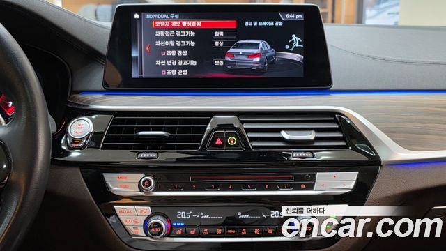 BMW 5 Series (G30) 530i Luxury Plus 2019 — фото 19