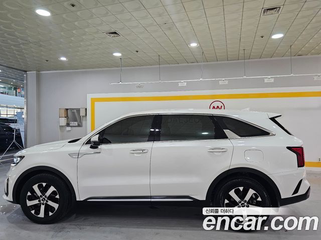 Kia Sorento (IV) Gasoline 2.5T 2WD Trendy 2023 — фото 4