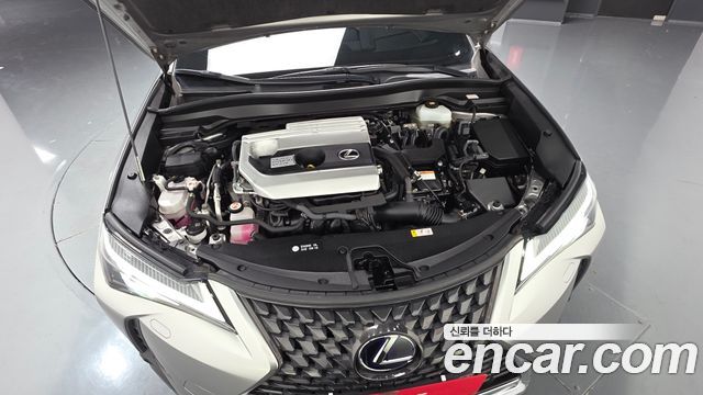 Lexus UX250h 2.0 2WD 2020 — фото 6