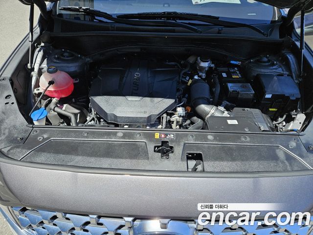 Hyundai Santa Fe Diesel 2.2 2WD Premium Choice 2021 — фото 24