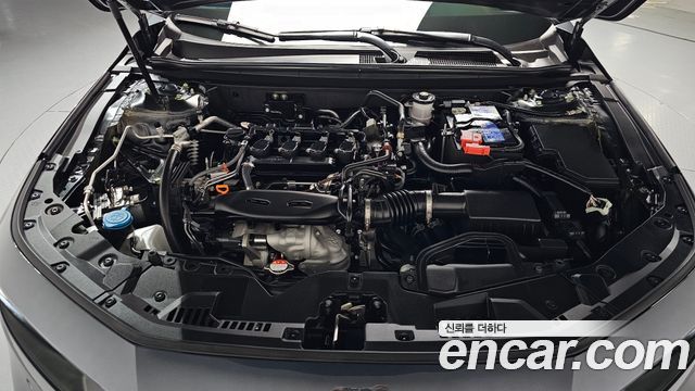 Honda Accord (XI) 1.5 Turbo 2025 — фото 6