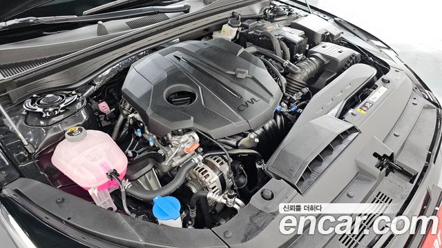 Kia K5 (III) 2.0 Prestige 2024 — фото 6
