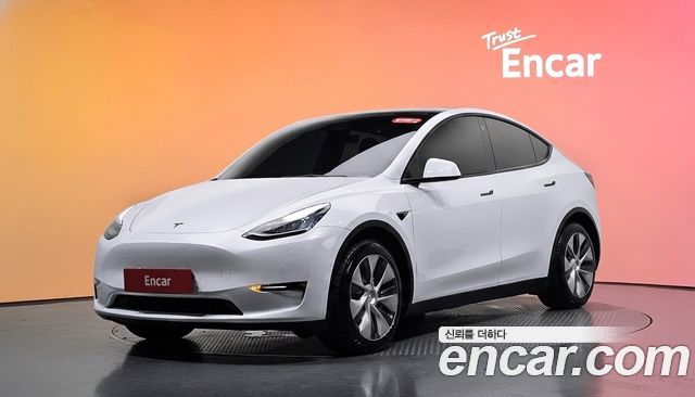 Tesla Model Y Long Range AWD